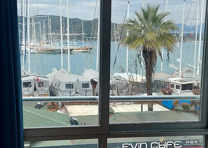 Kordon フェティエ