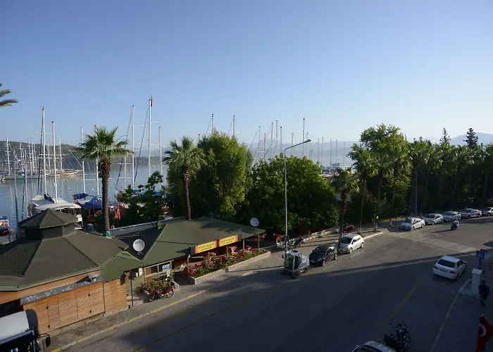 Kordon フェティエ